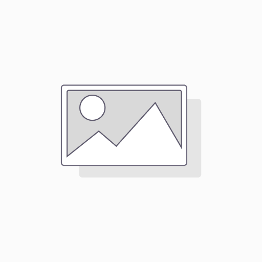 e-wallet
